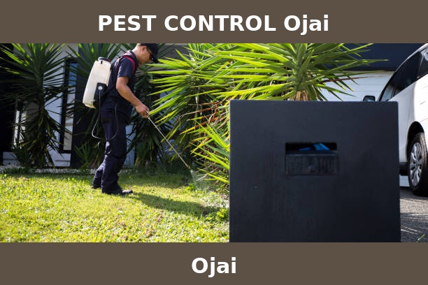 PEST CONTROL Ojai